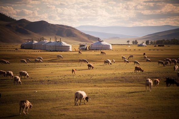 Voyage clients Mongolie